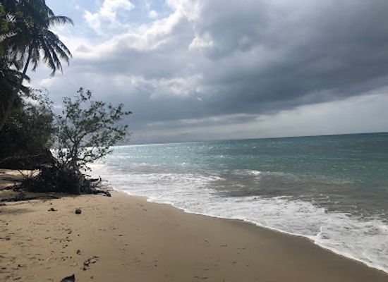 dominican-republic/samana-peninsula/landmark/playa-jackson
