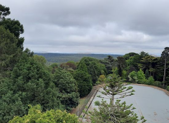 australia/central-victoria/landmark/pioneer-memorial-tower