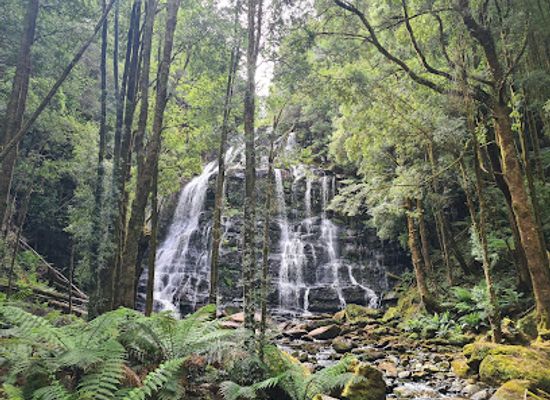 australia/mount-field-national-park/landmark/nelson-falls