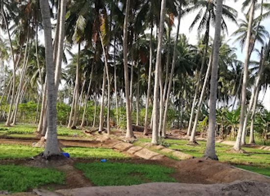 oman/dhofar-region/landmark/abdurahman-samiri-sulthan-of-malabar