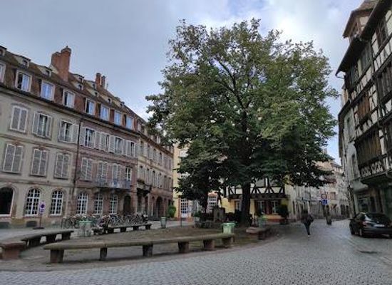 france/strasbourg/landmark/pl-saint-etienne