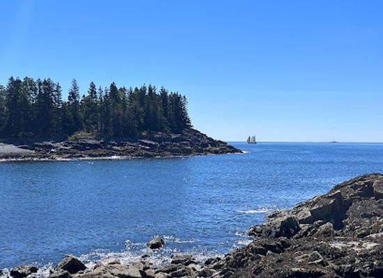 maine/bar-harbor/landmark/coastal-kayaking-tours-inc