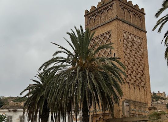 algeria/oran/sidi-el-houari/landmark/jamiat-sihah-sidi-al-hawari
