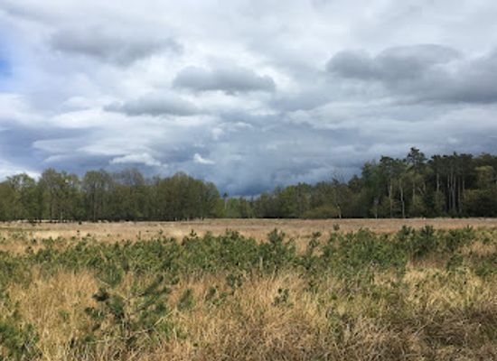 netherlands/drenthe-province/landmark/drents-friese-wold-national-park