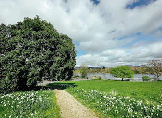 ireland/sligo/landmark/the-doorly-park