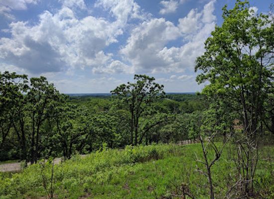 wisconsin/glacial-lake-wisconsin/landmark/bald-bluff-nature-trail