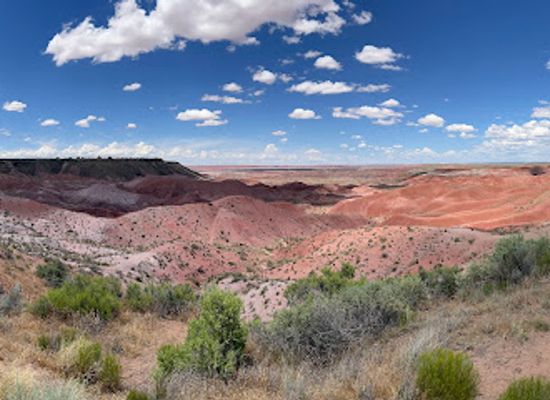 arizona/red-rock-country/landmark/petrified-forest-national-park