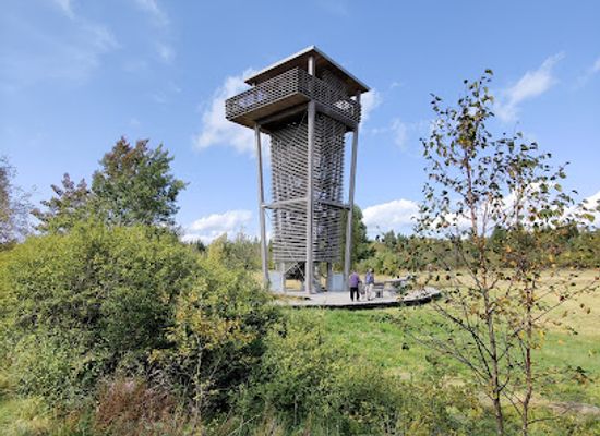 germany/franconia/landmark/black-moor