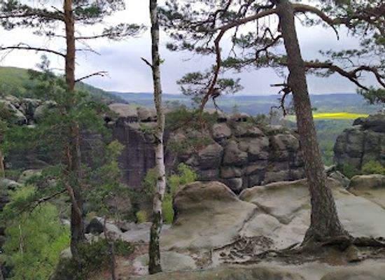 germany/saxon-switzerland-national-park/landmark/weg-zur-wildnis
