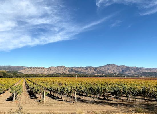 california/napa-valley/landmark/site-of-george-yount-s-blockhouse