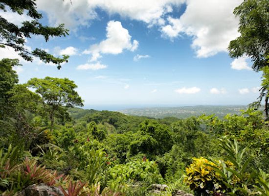 jamaica/martha-brae-river-valley/landmark/ahhh-ras-natango-gallery-and-garden