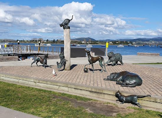 new-zealand/tauranga/landmark/hairy-maclary-and-friends-sculpture