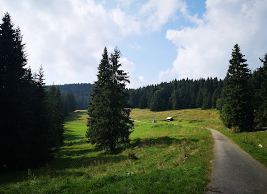slovakia/muranska-planina-national-park/landmark/studna-na-muranskej-planine-1180-m
