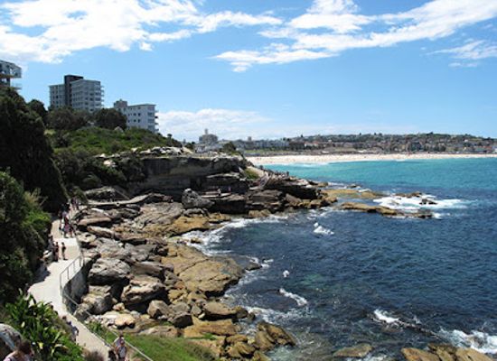 australia/sydney/bondi-beach/landmark/bondi-beach-aboriginal-rock-art-tours