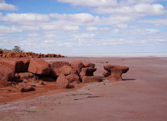 australia/outback/landmark/lake-gairdner-national-park