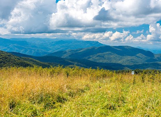 tennessee/appalachian-mountains/landmark/max-patch