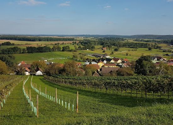 austria/burgenland/landmark/kellerviertel-heiligenbrunn