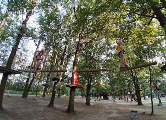 poland/gliwice/landmark/park-linowy-gliwice-linaadrena