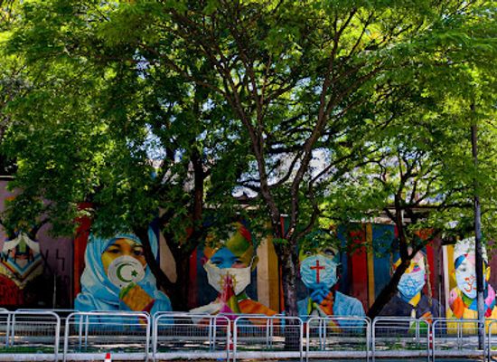 brazil/sao-paulo/pinheiros/landmark/mural-do-kobra-coexistencia