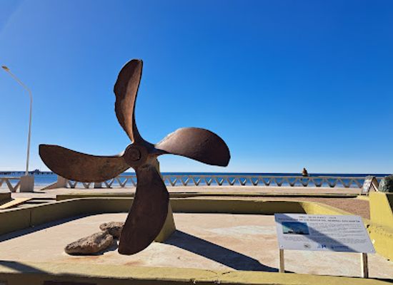 argentina/puerto-madryn/landmark/monumento-ara-villarino