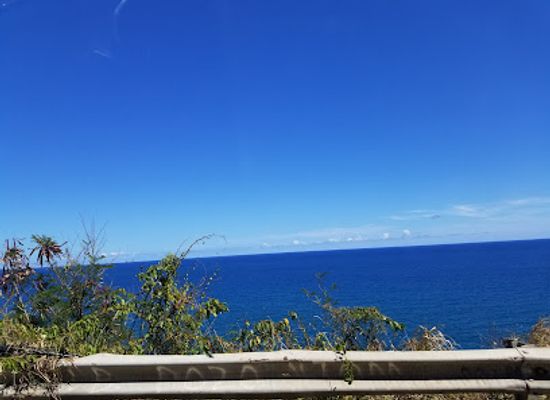 puerto-rico/guayama/landmark/china-garden