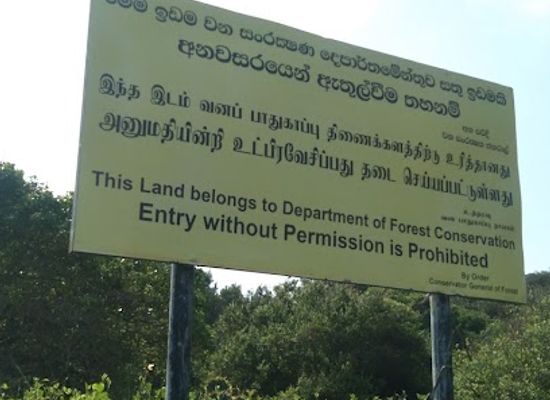 sri-lanka/arugam-bay/landmark/ulla-state-forest