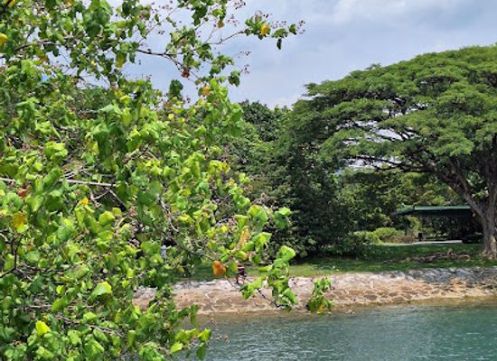 singapore/labrador-nature-reserve/landmark/berlayer-creek