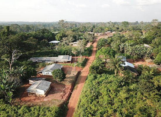cameroon/grassfield-region/landmark/dja-faunal-reserve