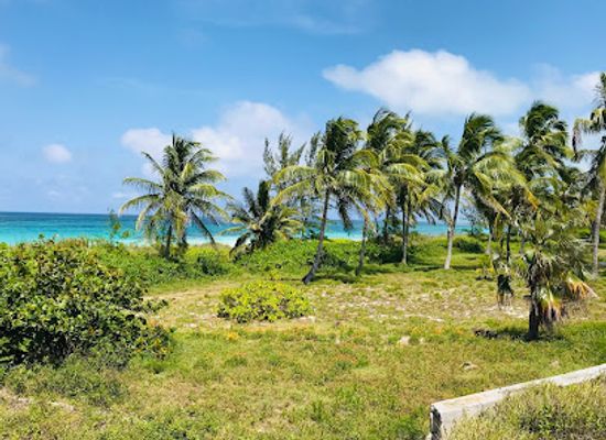 the-bahamas/eleuthera/landmark/french-leave-beach