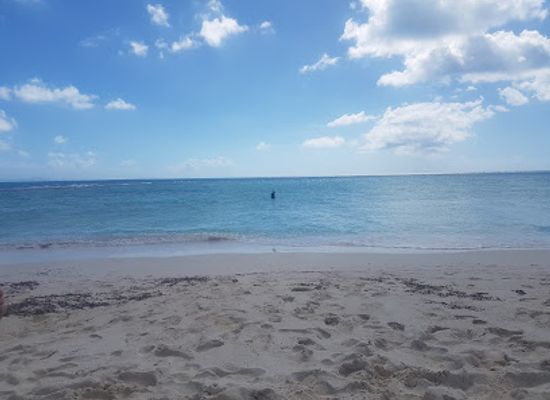 british-virgin-islands/anegada-beaches/landmark/pomato-point