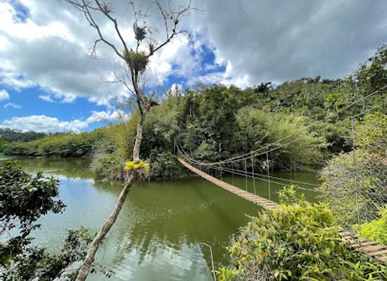 puerto-rico/la-cordillera-central/landmark/puente-de-hamaca-del-lago-garzas