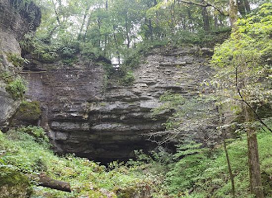 iowa/driftless-area/landmark/dutton-cave-co-park