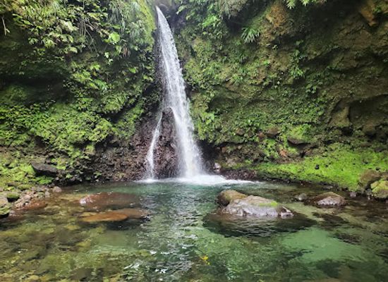 dominica/trafalgar-falls/landmark/jacko-falls