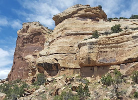utah/uintah-basin/landmark/mcconkie-ranch-petroglyphs