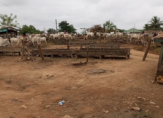nigeria/igbo/landmark/rounda-roundabout