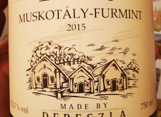 hungary/tokaj-wine-region/landmark/vinoteka-and-cellar-labyrint