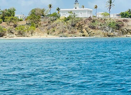 puerto-rico/vieques-island/landmark/wai-vie-adventure-tours