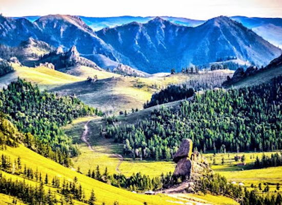 mongolia/bogd-khan-mountain/landmark/gandantegchinlen-monastery