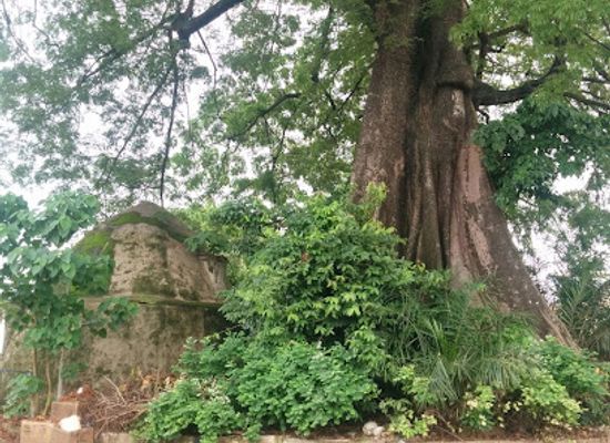 guinea/forest-guinea/landmark/national-museum-of-guinea
