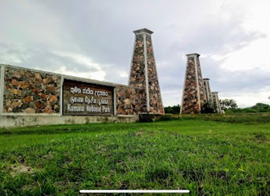 sri-lanka/eastern-province/landmark/kumana-national-park