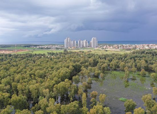 israel/hadera/landmark/hadera-forest