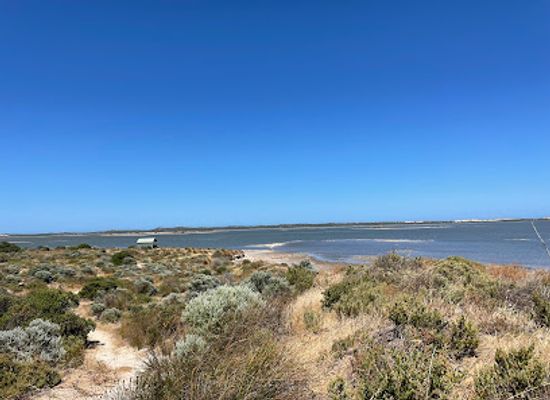 australia/coorong/landmark/jack-point-observatory-deck