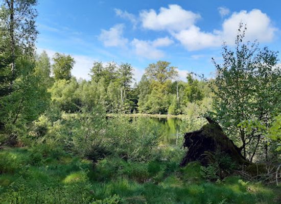denmark/hillerod/attraction/store-dyrehave