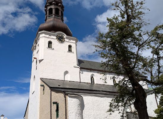 estonia/harju-county/landmark/st-mary-s-cathedral