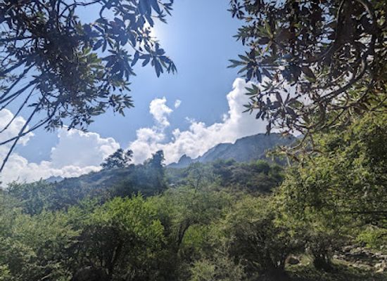 nepal/chitwan-national-park/landmark/langtang-national-park