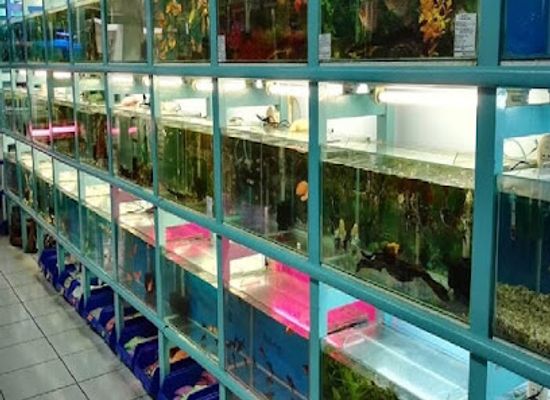 guatemala/guatemala-city/landmark/comercial-y-acuario-abc-s-a