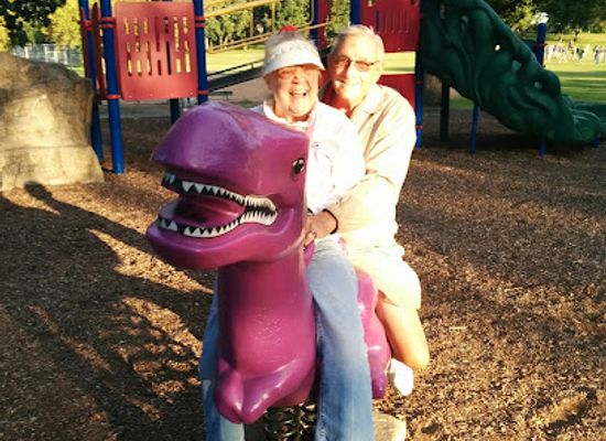 north-dakota/fargo/northport/landmark/percy-godwin-park-elephant-park