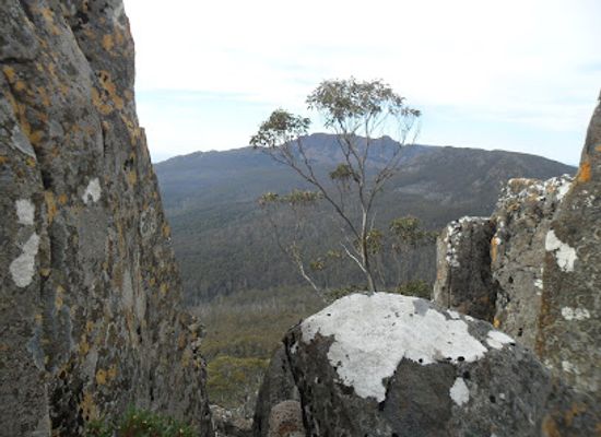 australia/mount-wellington/landmark/mount-marian