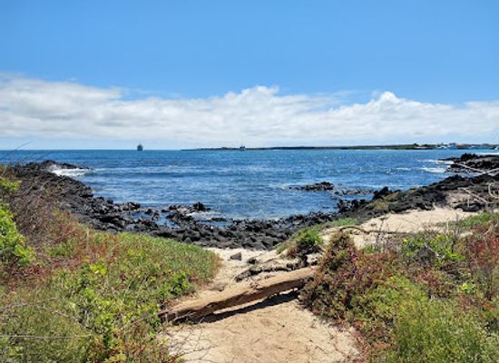 ecuador/galapagos-islands/landmark/playa-de-la-estacion