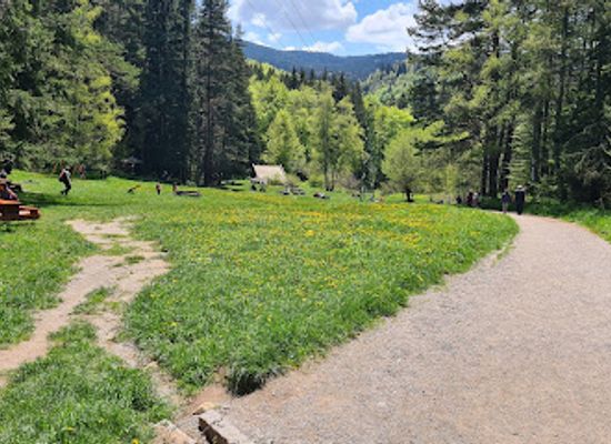 bulgaria/vitosha-mountain/landmark/zaslon-zlatnite-mostove